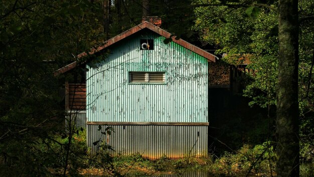 Фото Заброшенный дом в лесу.