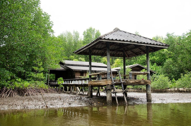 Casa abbandonata e vecchio padiglione all'aperto sulla riva del fiume e della foresta di mangrovie o foresta intertidale sul fiume della città di pak nam prasae a rayong thailandia