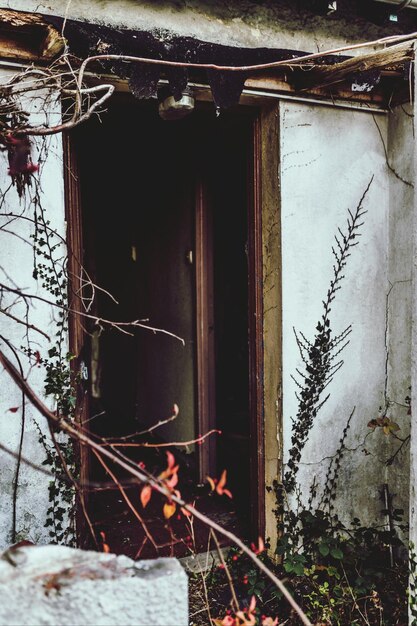 Photo abandoned house