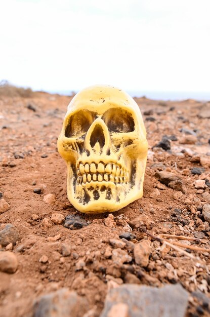 Abandoned Human Skull in the Rock Desert