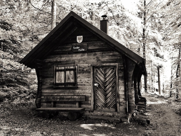 Photo abandoned log cabin in forest