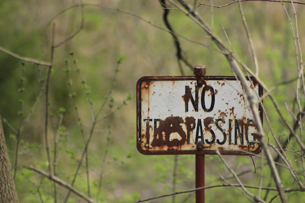 Abandoned no trespassing sign amidst plants