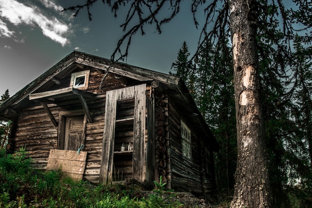 Abandoned old cabin in the woods