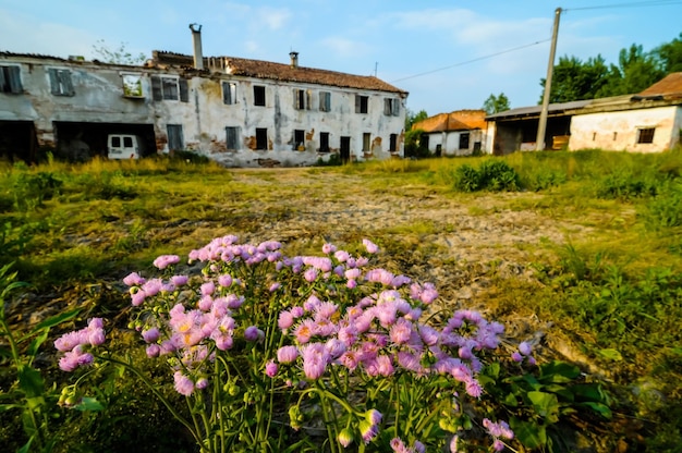 Abandoned Old House