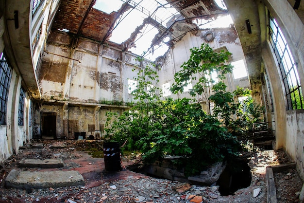 Заброшенный старый разрушенный промышленный завод в Венето, Италия