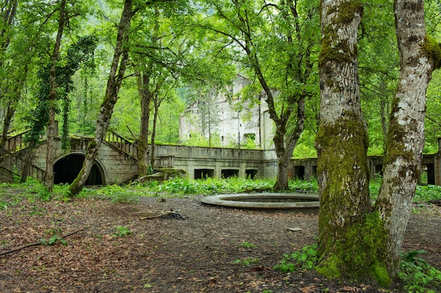 Abandoned park near Lake Riza. Abkhazia.