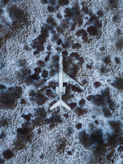 Abandoned passenger plane wreck in the forest in winter