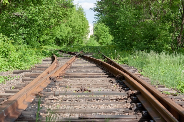 Abandoned rail tracks with plants and green trees around