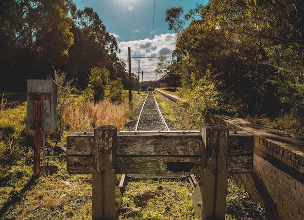 空に向かって木々に囲まれた廃墟の鉄道線路