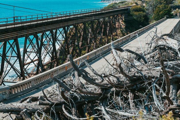 Abandoned railroad tracks