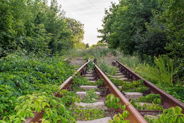 Abandoned railroad was overgrown with grass