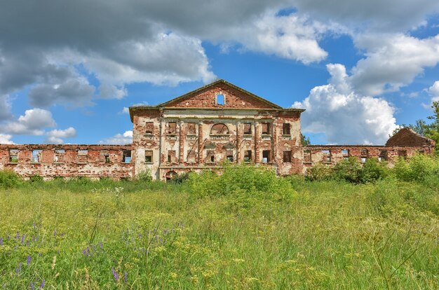 Abandoned red brick estate surrounded by greenery against the background of the sky