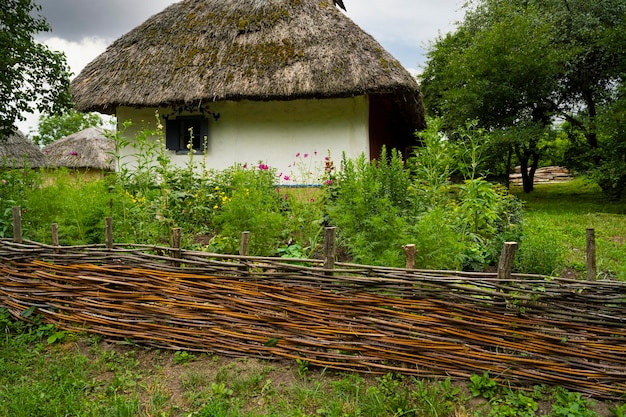 Abandoned rural house in the thickets