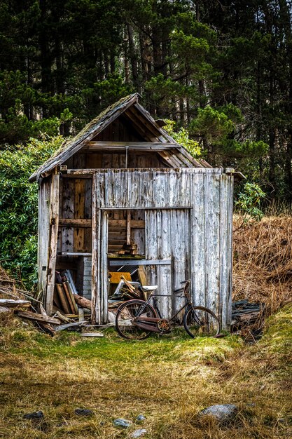 放棄された小屋