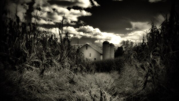 Photo abandoned silo amidst plants against sky