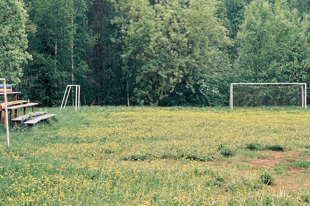 Abandoned soccer field with old wooden bleachers overgrown with grass in the forest