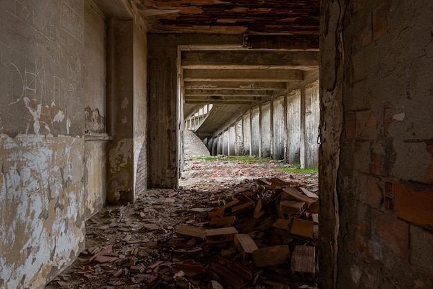 Photo abandoned summer camp