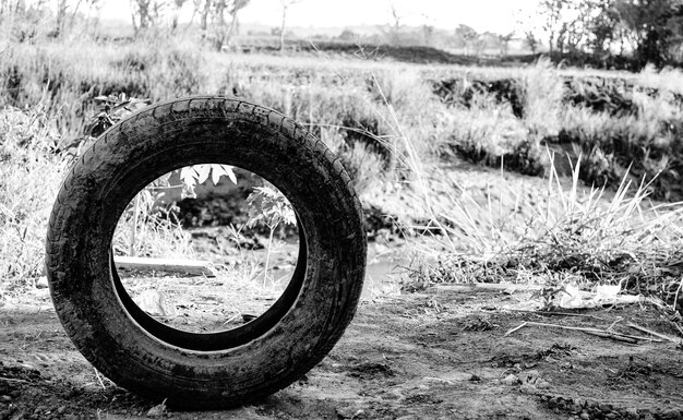 Photo abandoned tire on land