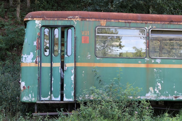 Foto treno abbandonato sul campo