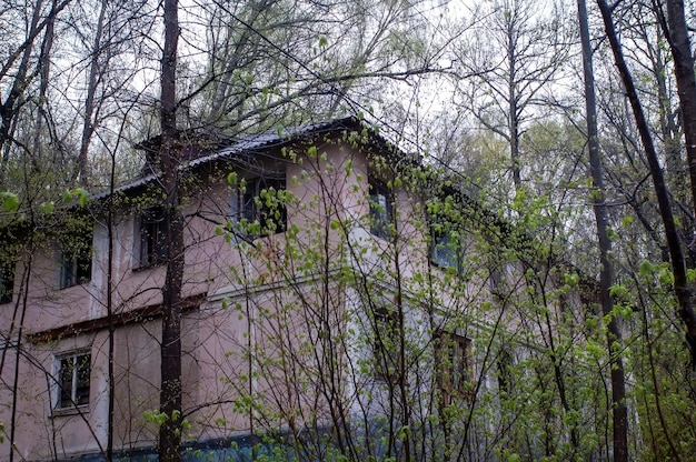 Abandoned two-storey house in the forest, in spring