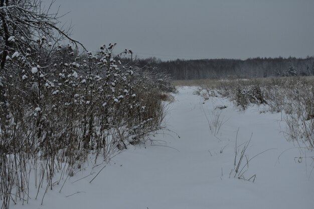 Abandoned village in the snow in winter