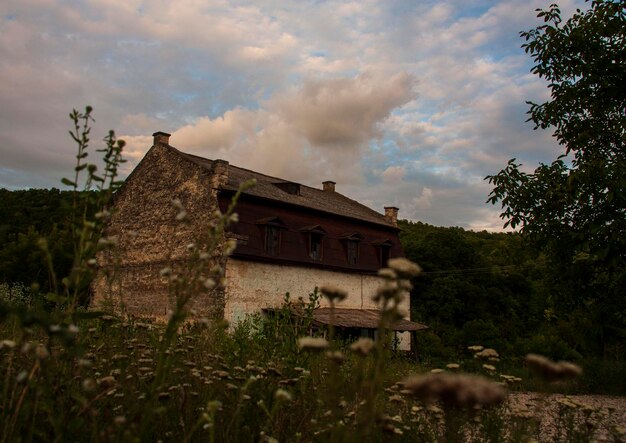 Abandoned water mill Landscape general plan