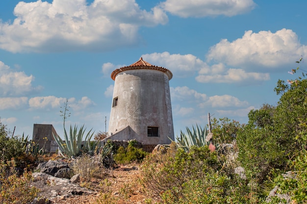 Abandoned windmill on a hill in the middle of vegetation.