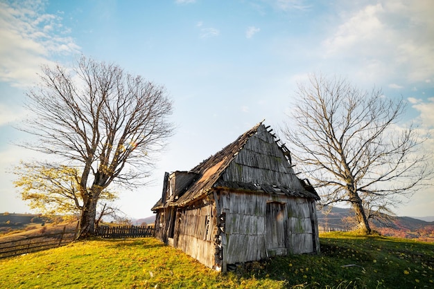 Abandoned wooden house built on grassy hill near fence surrounded by bare trees in highland against distant mountains at sunny autumn sunset