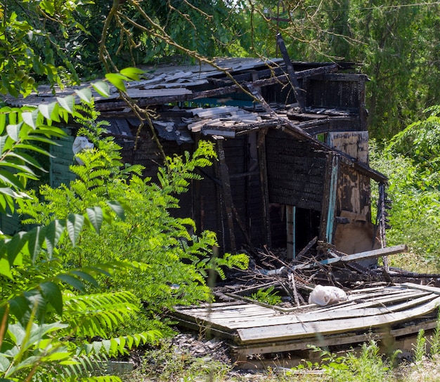 Abandoned wooden structure in the forest