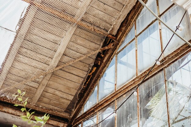 abandonned greenhouse surrounded by overgrown Roof of an ancient greenhouse