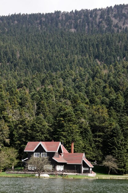 Abant Lake National Park