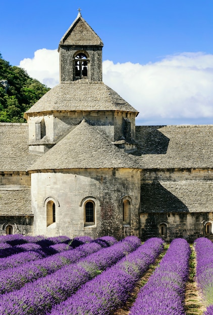 Abbazia di senanque