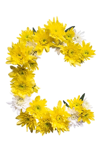 Collezione abc di letterexa lettera c fatta di foglie e fiori veri su sfondo bianco