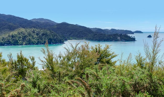 Photo abel tasman national park