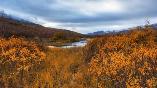 Abisko National Park in polar Sweden in golden autumn day