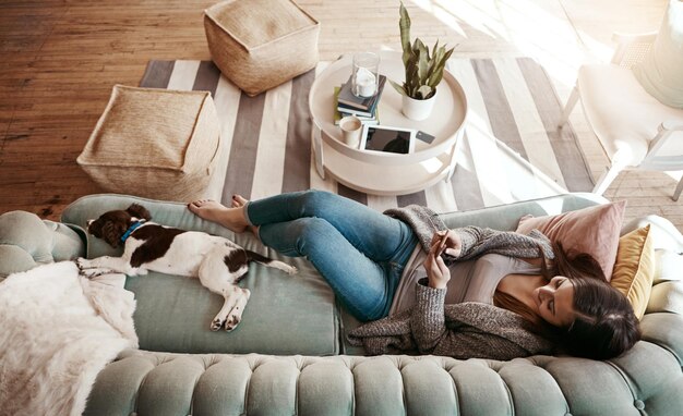 写真 上図はソファでリラックスし、ソーシャルメディアや犬とのコミュニケーションのために電話を持った女性 幸せな接続と、ペットとの会話やチャットのためにモバイルアプリを使ったソファの上の女の子