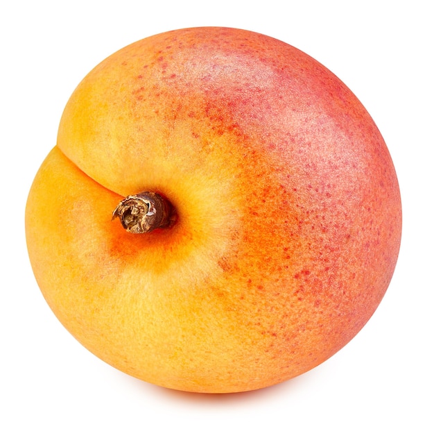 Abrikoos geïsoleerd op witte achtergrond Abrikoos fruit Clipping Path