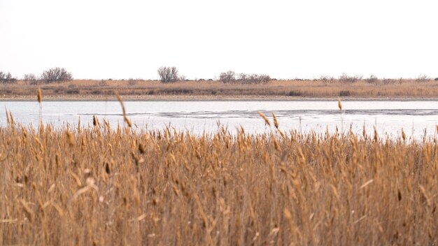 Absheron National Park, natuurreservaat