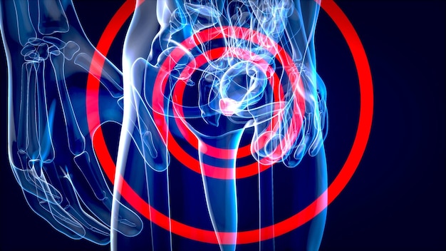 Abstract 3D illustration of the anatomy of the prostate