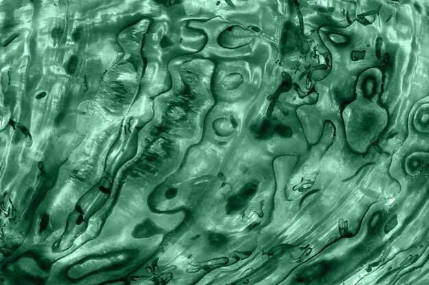 Foto abstract achtergrondontwerp rough beauty groene kleur