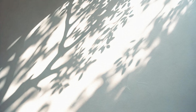 Фото Абстрактная эстетическая тень на белой текстурированной стене. элегантная тень сквозь листья и ветки.