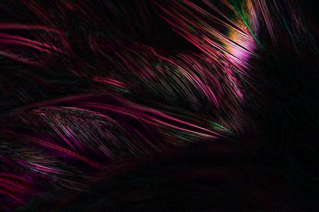 Abstract  art of beautiful paint of feather for texture background.