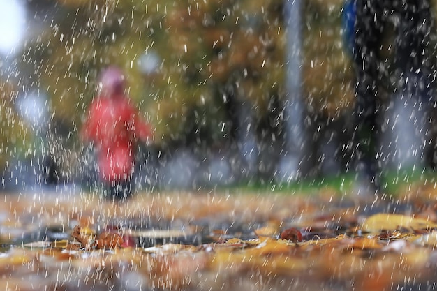 Abstract autumn background rain leaves wallpaper park