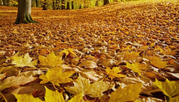 Abstract autumn background