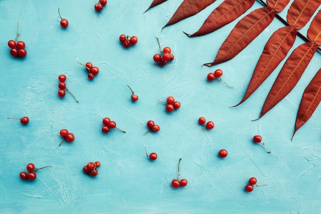 Abstract autumn berry and leaves on blue wall concept