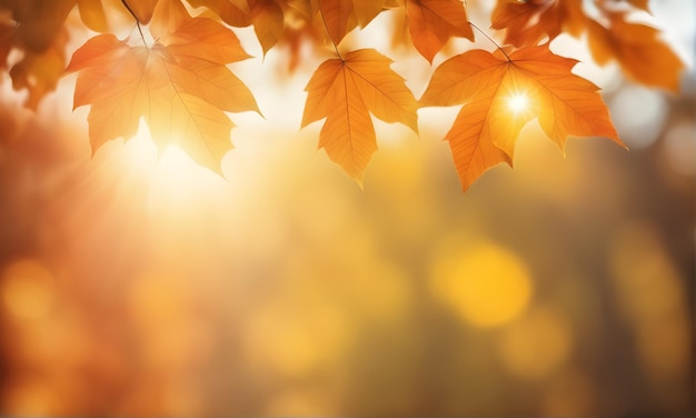 Abstract autumn foliage bokeh backdrop