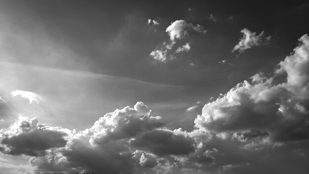 Abstract background of black and white clouds