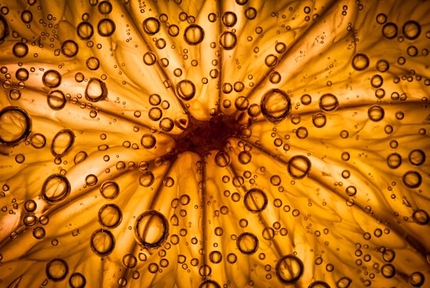 Abstract background. A citrus close up with bubbles