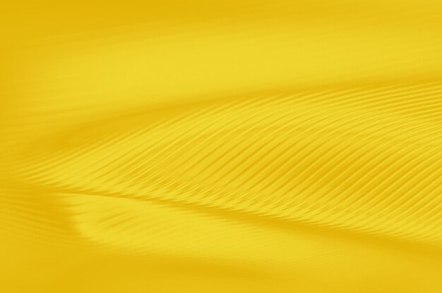 Foto abstract background design hd hardlight bright matte colore giallo