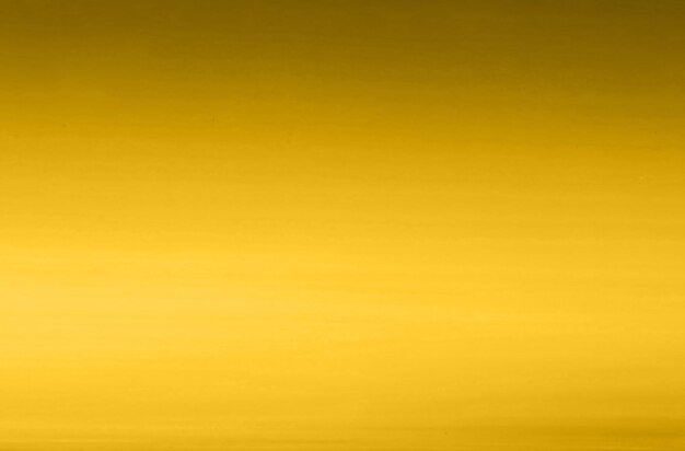 Photo abstract background design hd immortelle yellow color